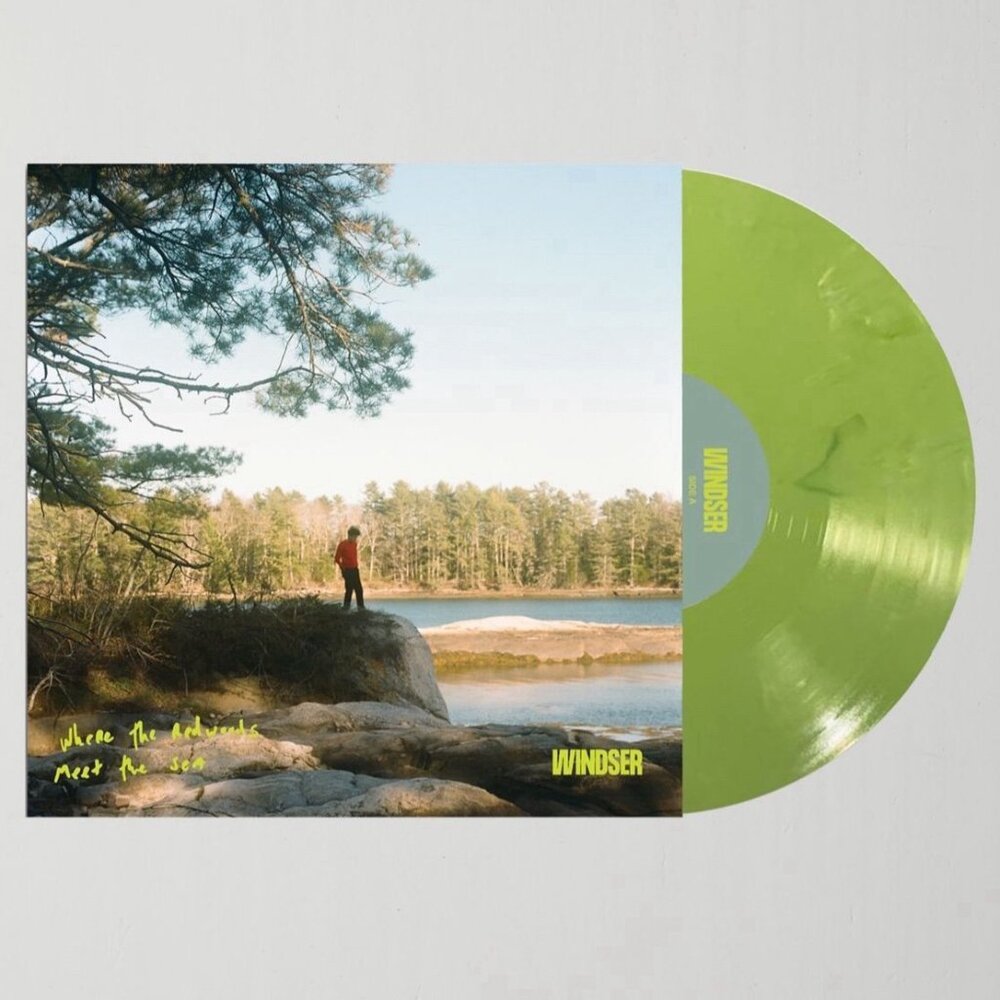 NEW WINDSER VINYL